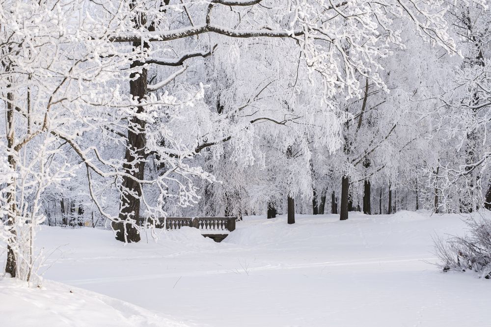 Photograph by Максим Вышарь