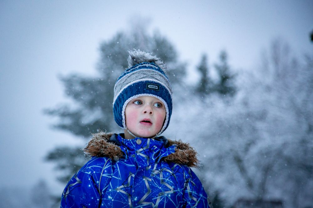Фотография автора Станислава Гордеева