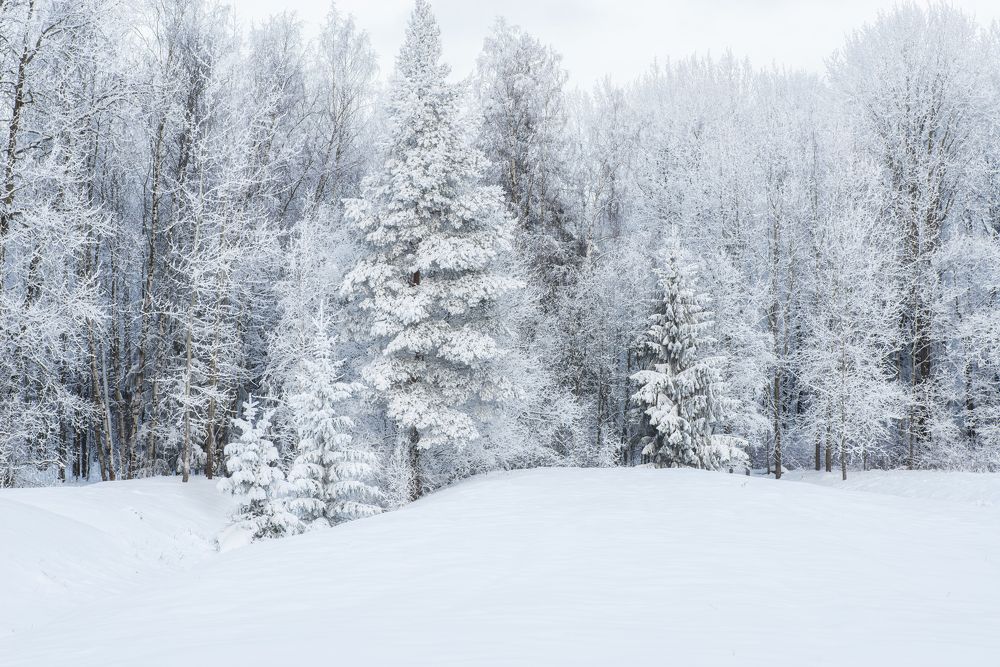 Photograph by Максим Вышарь