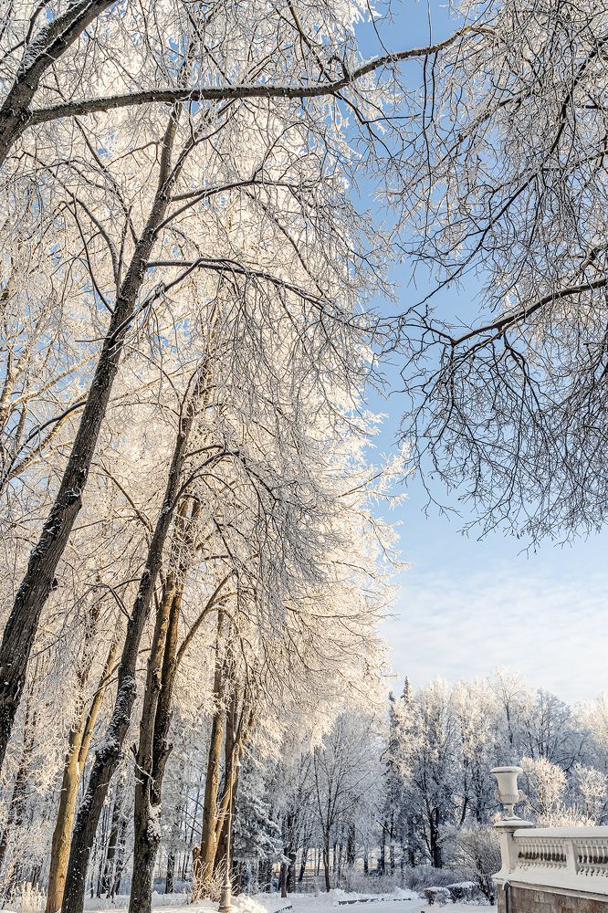 Photograph by Диана Бачу