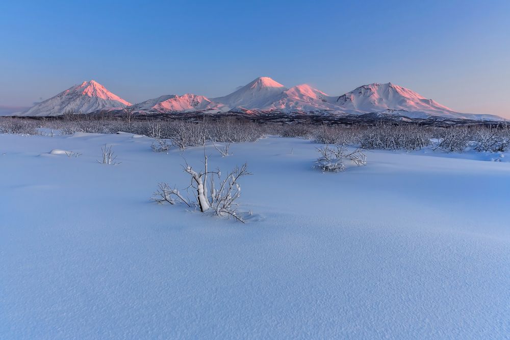 Photograph by _alex.doc_