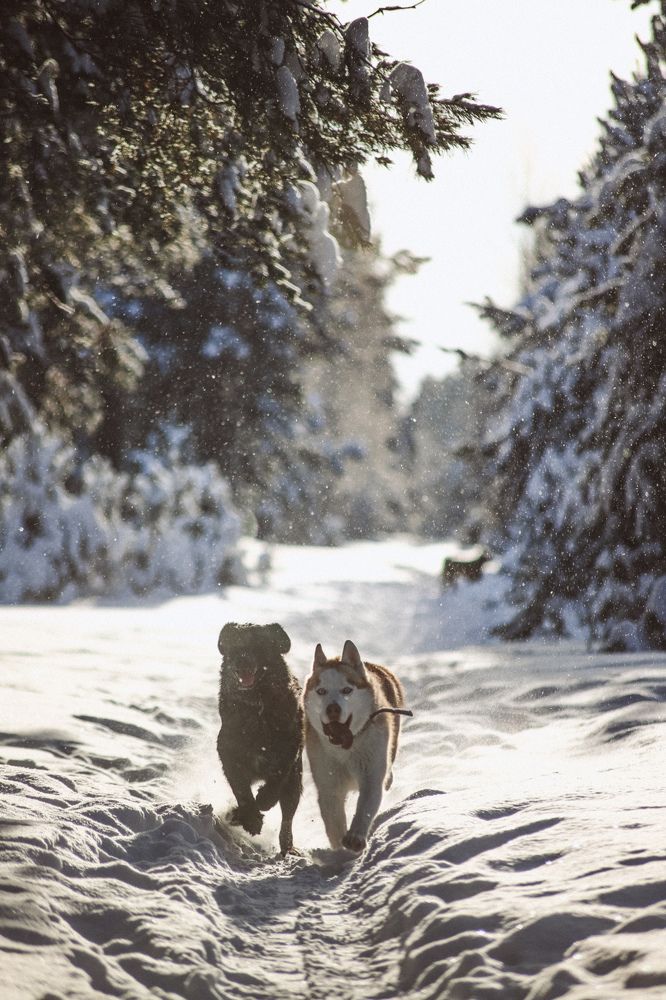 Фотография автора Дарина
