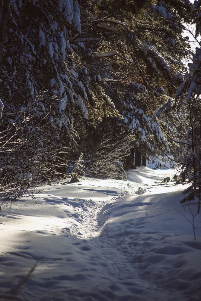 Фотография автора Дарина