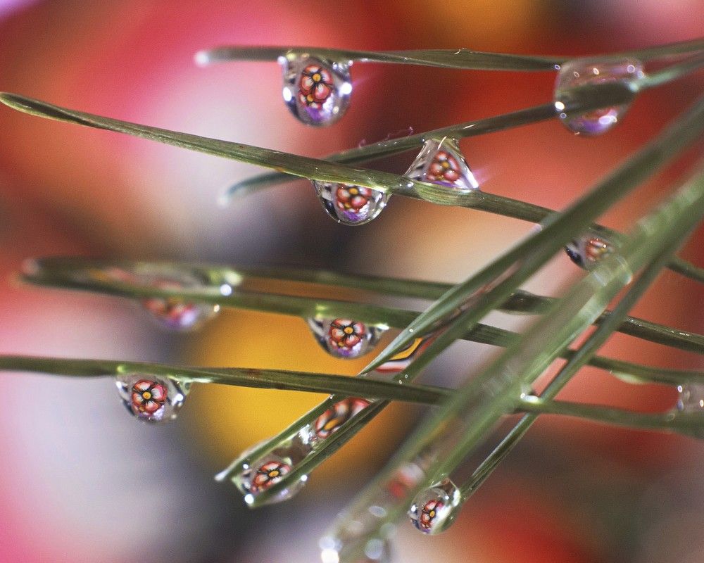 Photograph by Татьяна Максакова