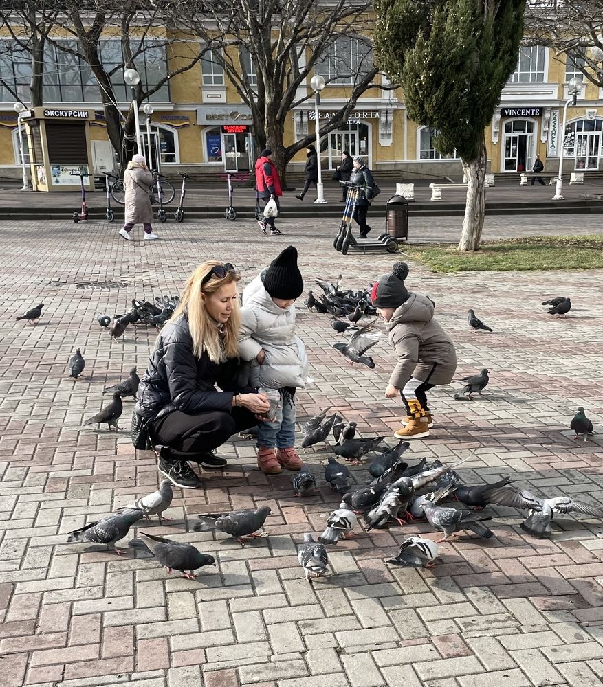 Photograph by Токарева Татьяна