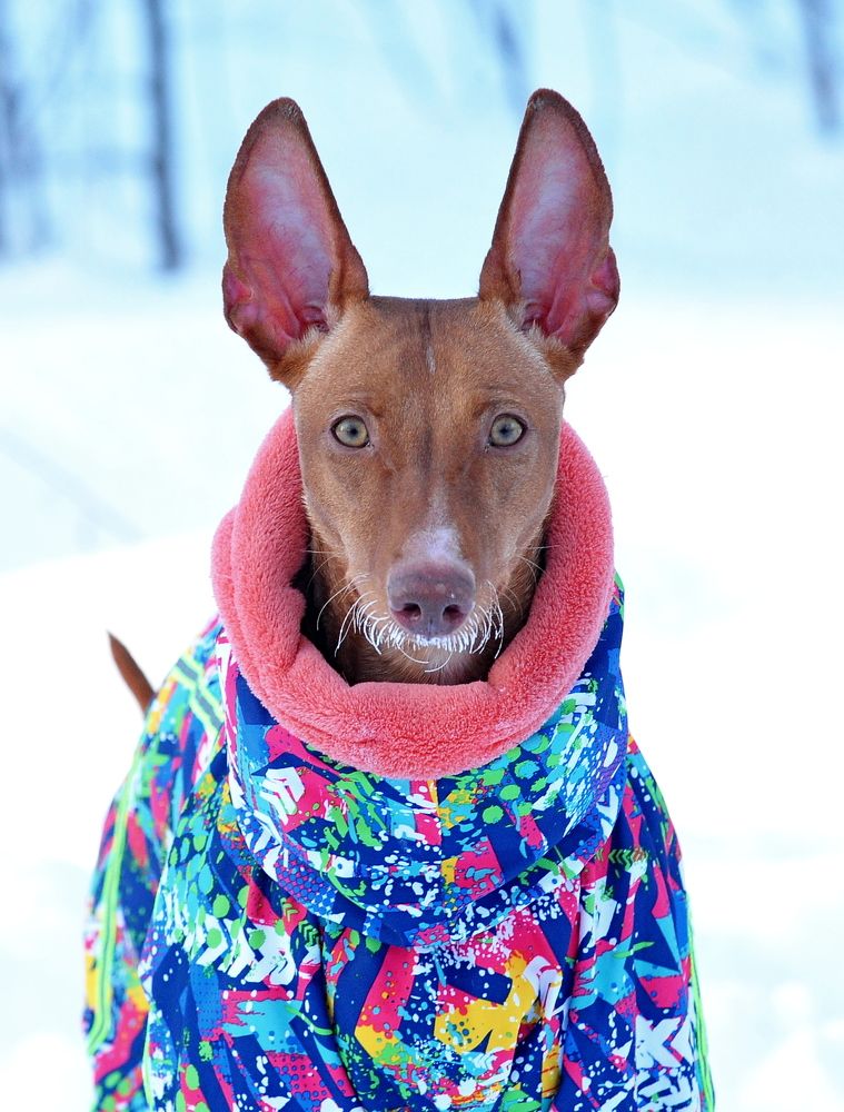 Photograph by Алексей Козлов