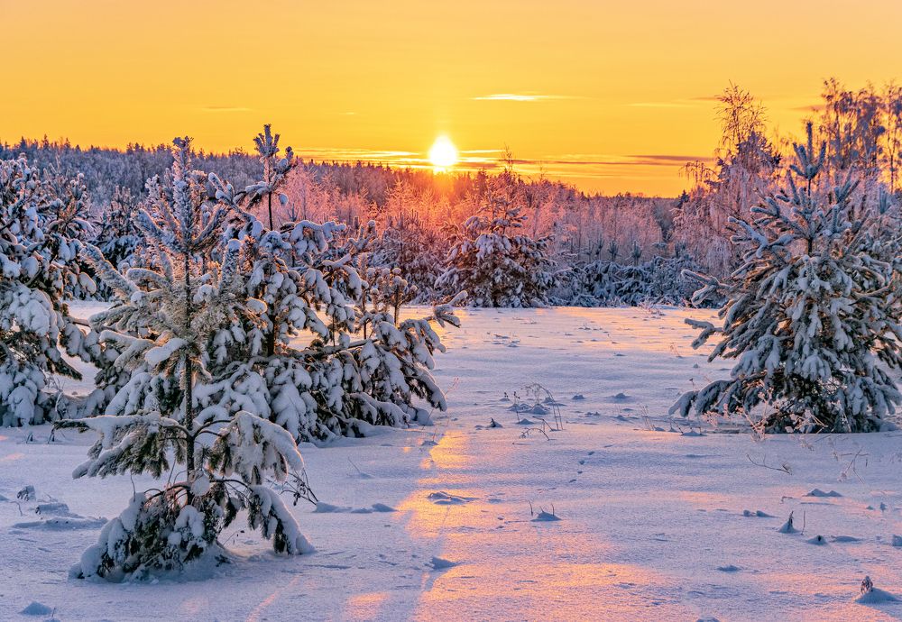 Photograph by Елена Чудиновских