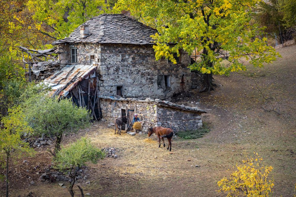 Фотография автора Mariyana Atanasova - Lucero