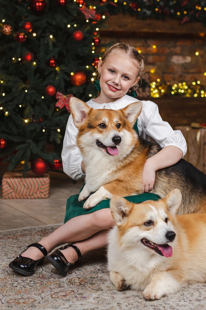 Photograph by Светлана Тузлукова