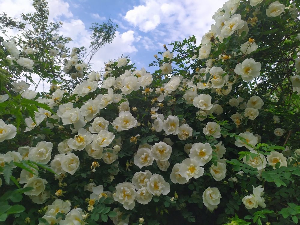 Фотография автора Анастасия Демина