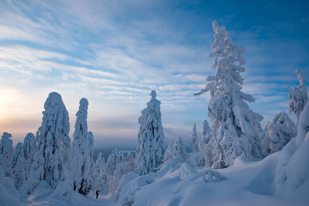 Фотография автора Сергей Сынтин