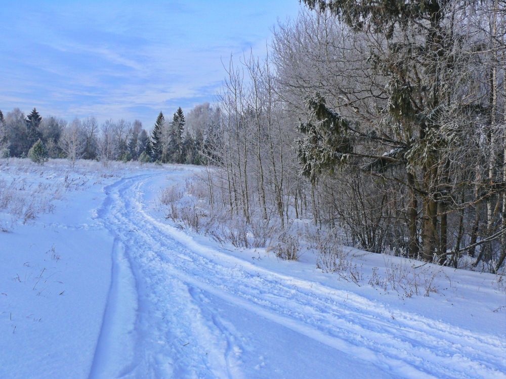 Фотография автора Анатолий Борисов