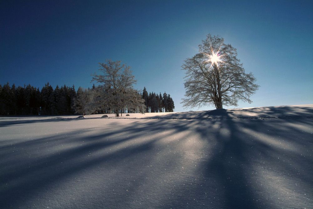 Фотография автора Chorche Prigo