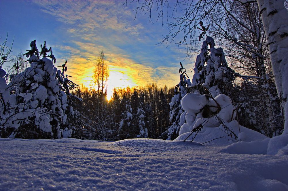 Фотография автора Анатолий Борисов