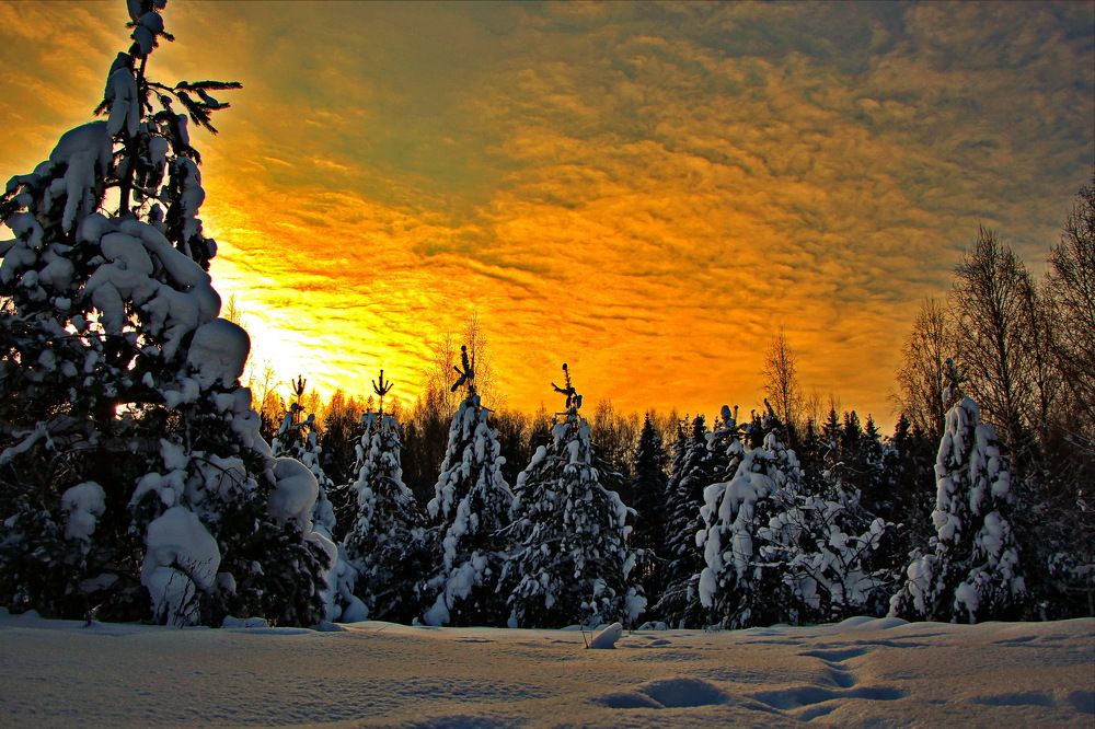Фотография автора Анатолий Борисов