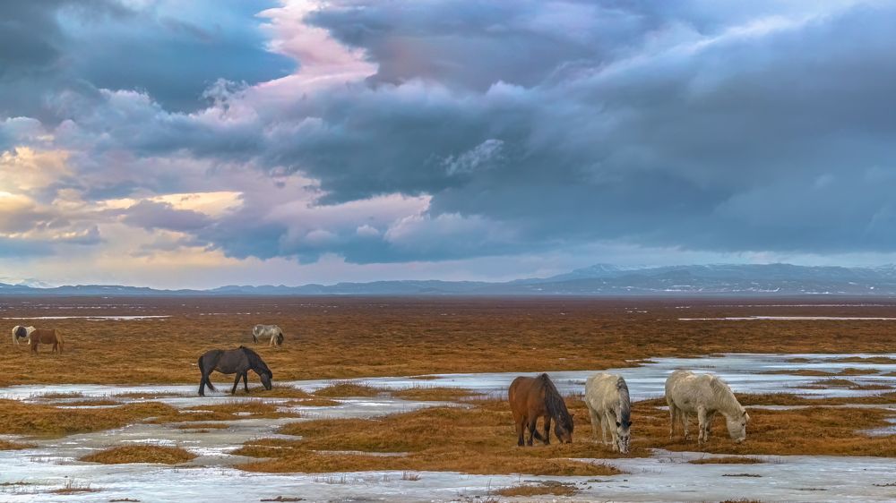 Фотография автора Шварцман Евгений
