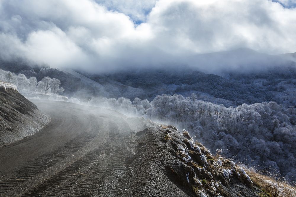 Под пуховым покрывалом