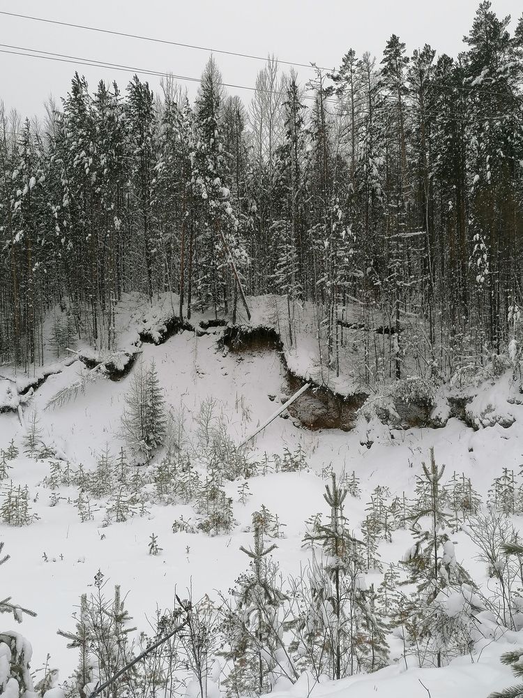 Photograph by Наталья