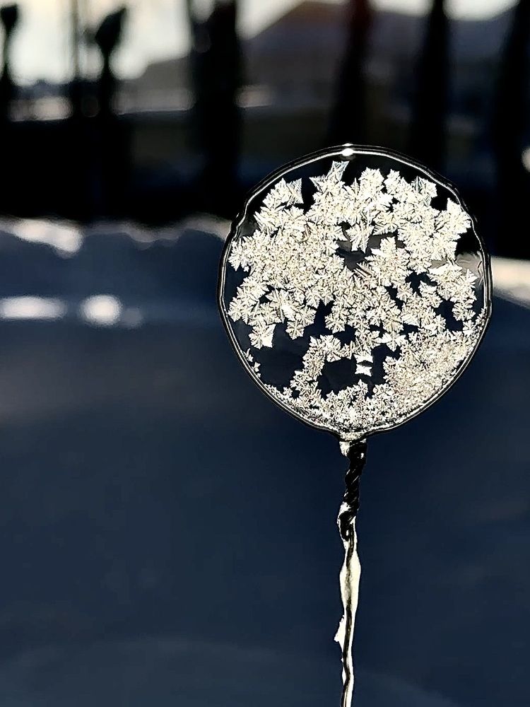 Photograph by Irina Kolotova