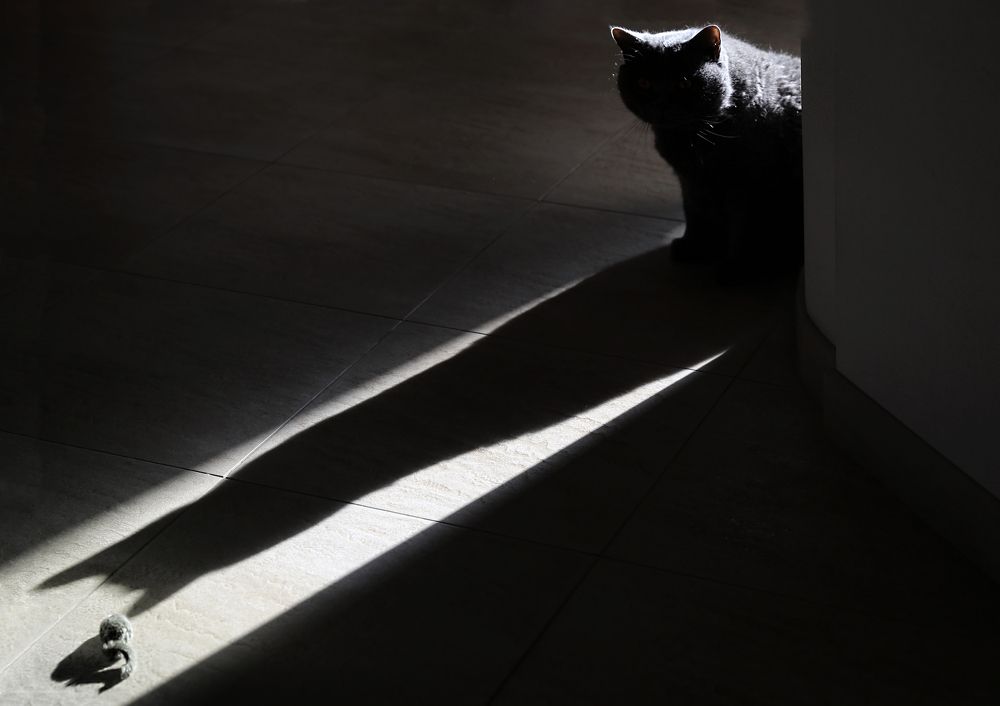 Photograph by Татьяна