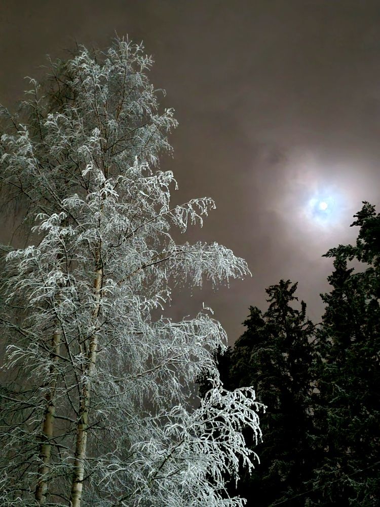 Photograph by Максим Иванов