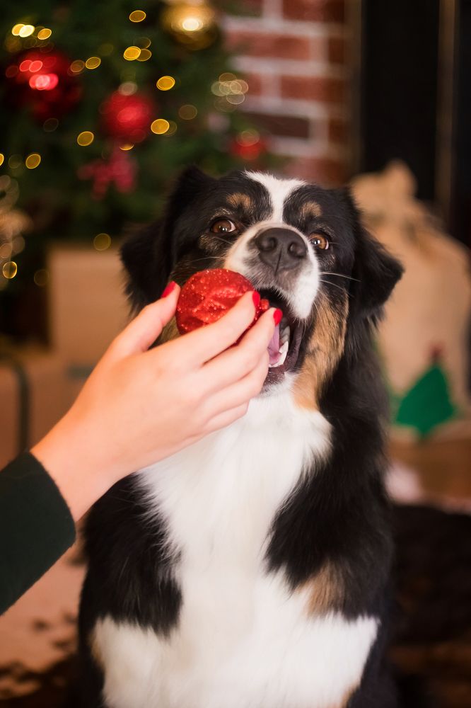 Photograph by Виктория Мамаева