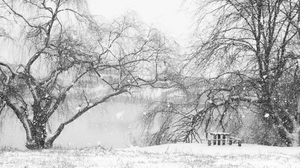 Столик у реки