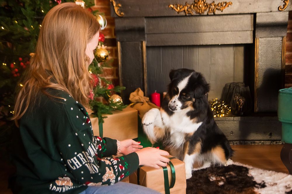 Photograph by Виктория Мамаева