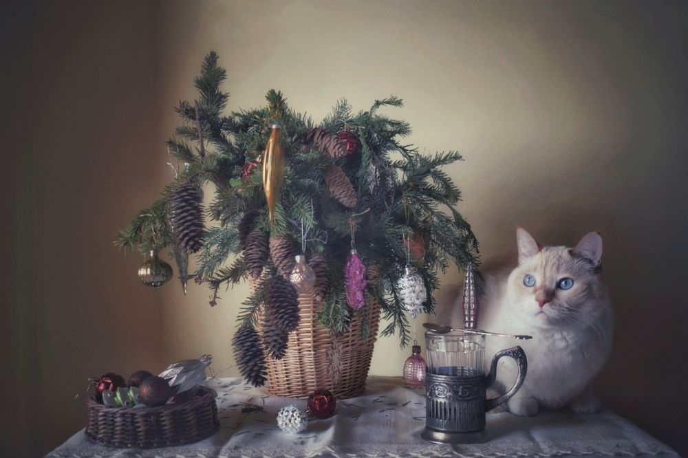 Photograph by Кира Бахвалова