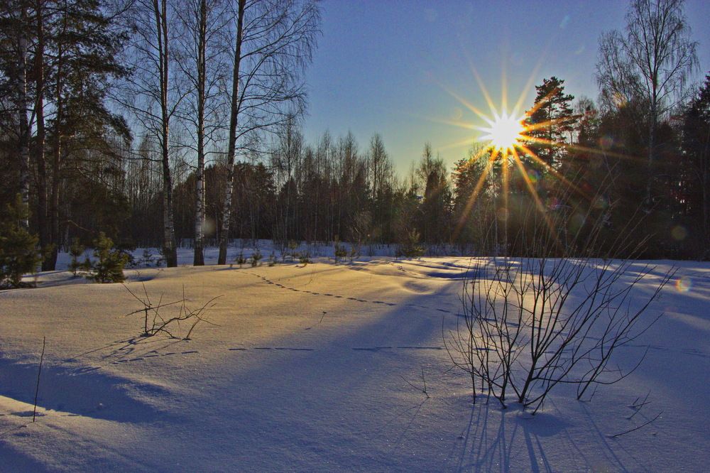 Фотография автора Анатолий Борисов