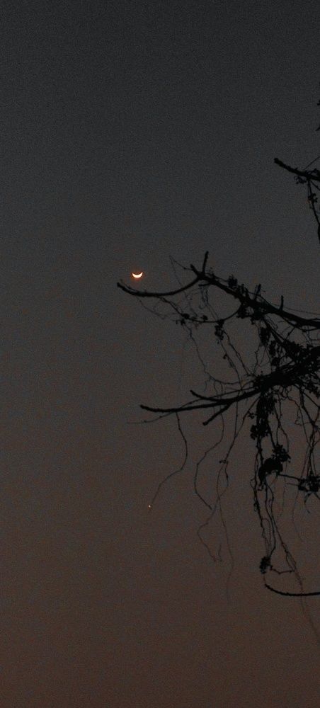 Photo #10108395