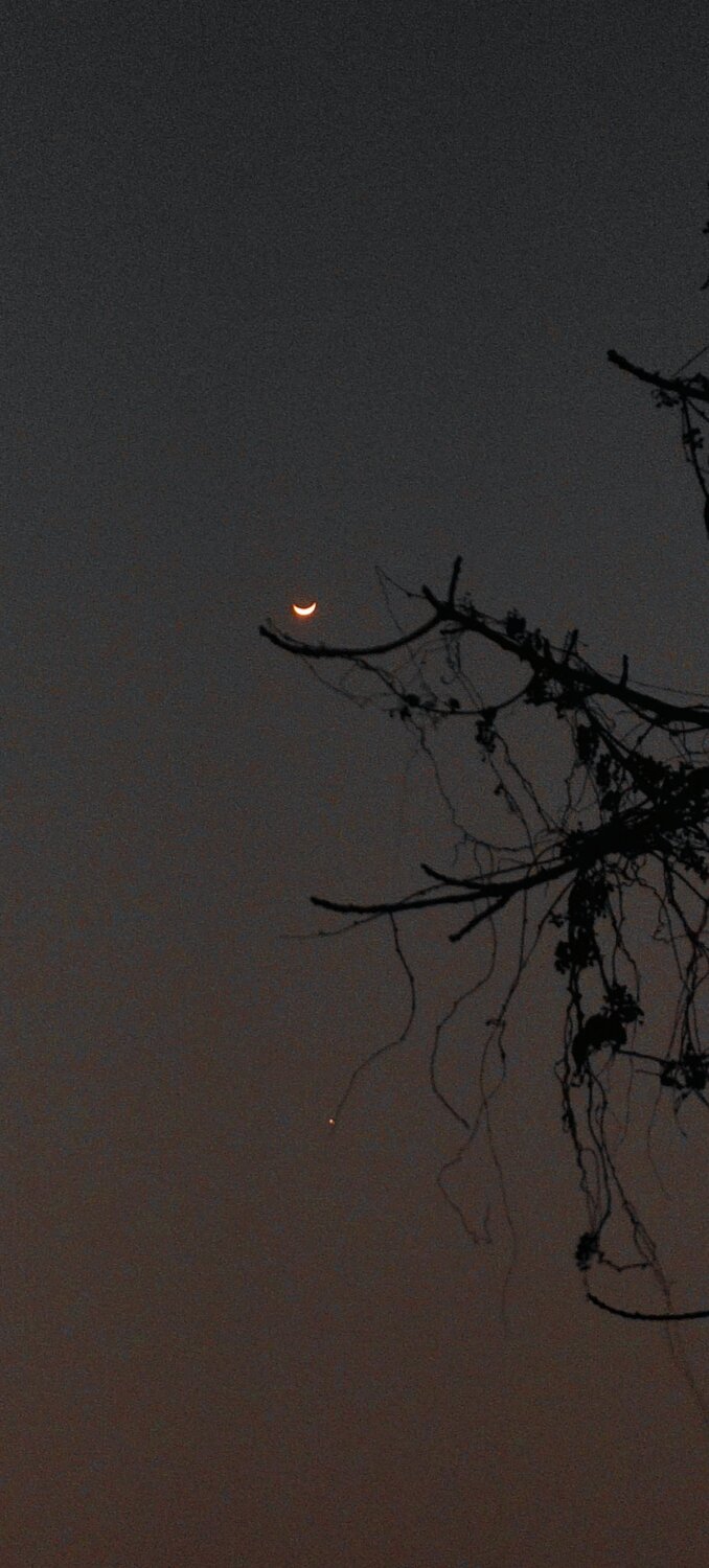 Photo #10108395