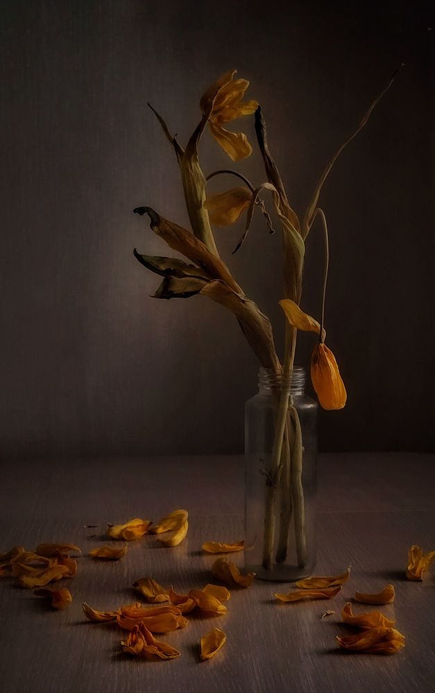 Photograph by Елена Иванова