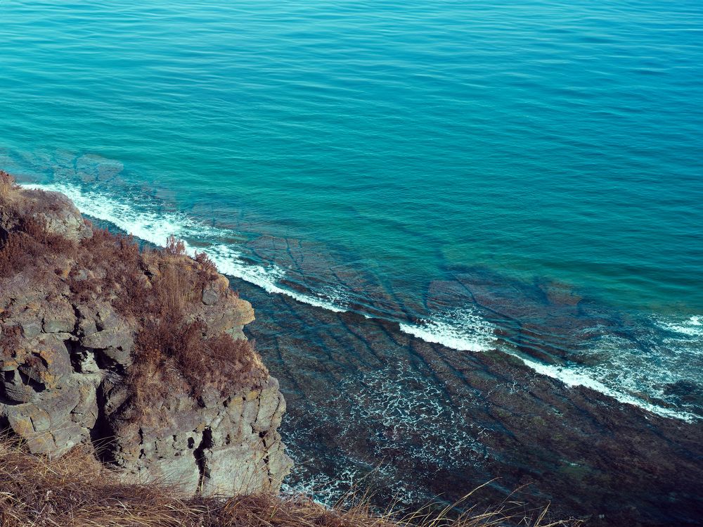 Photograph by Елена Шишкина