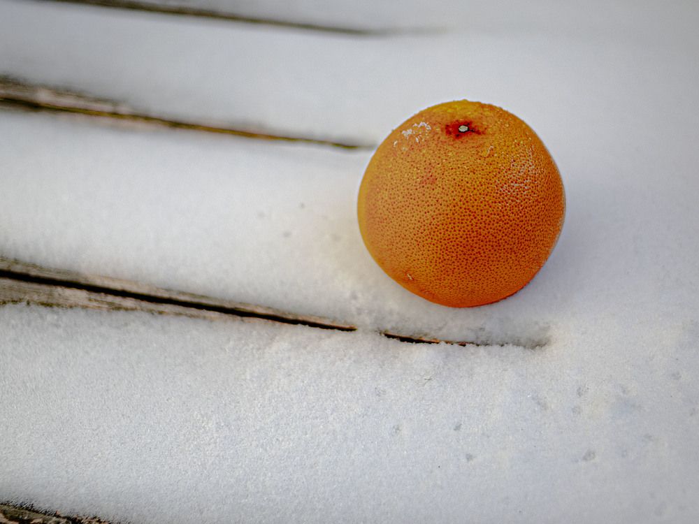 Photograph by Егор Кузин