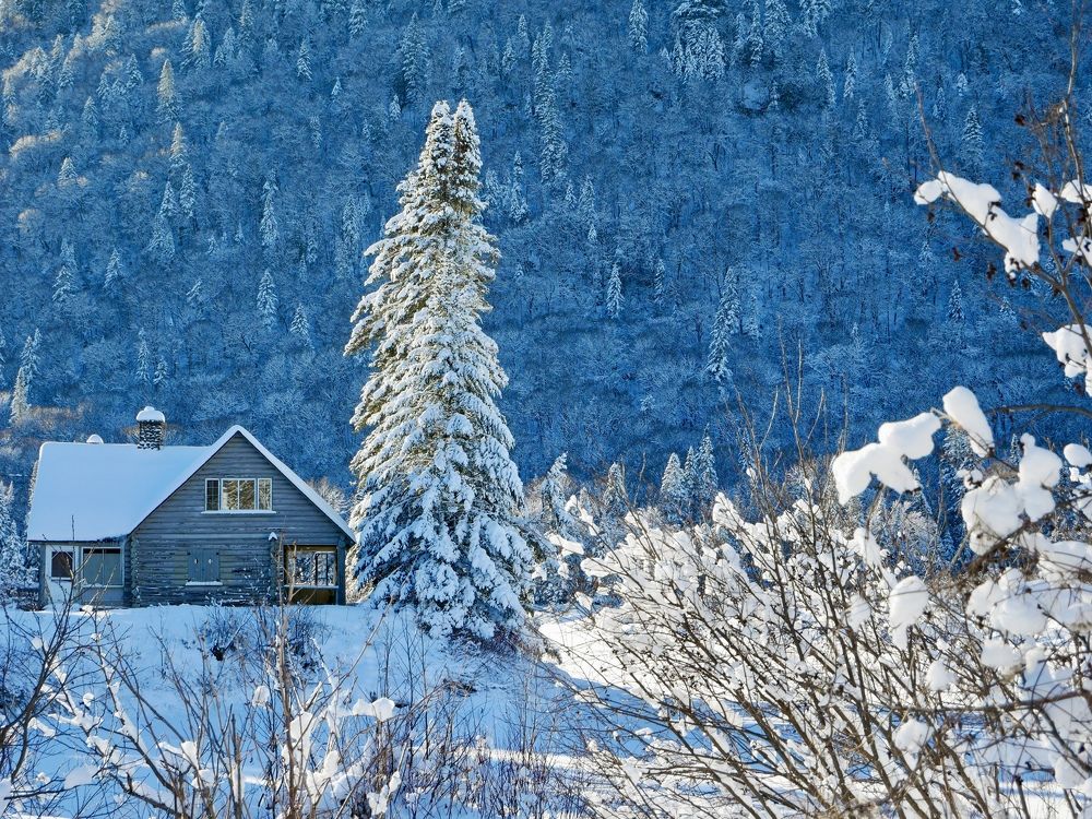 Photograph by Annie Trudel