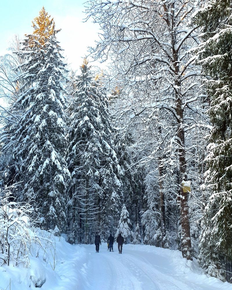 Photograph by Дмитрий