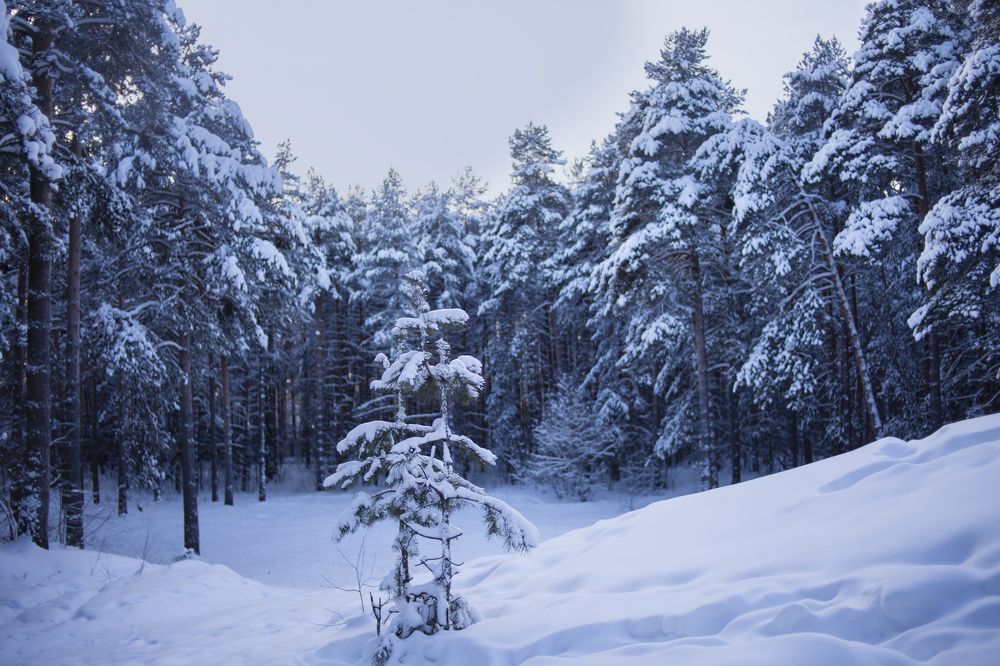 Photograph by Елена