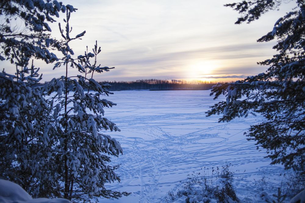 Photograph by Елена