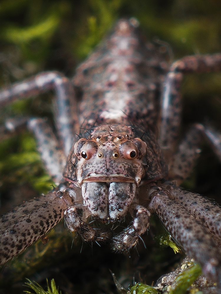 Photograph by Юрий Говорков