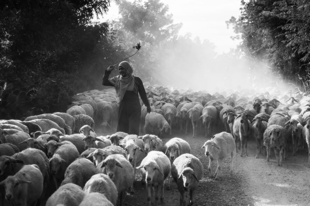 Photograph by Nguyen Ngoc Tuan