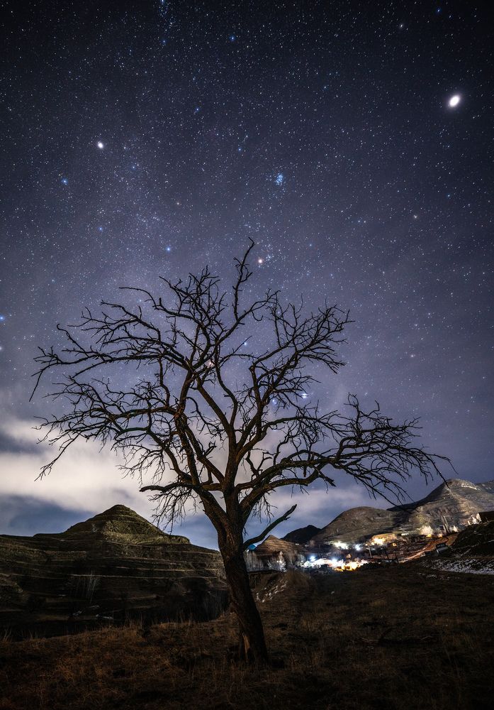 Photograph by Ганюшкин Владимир