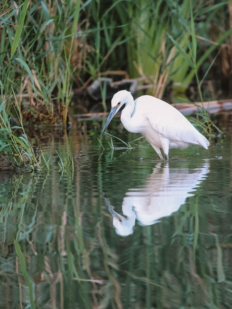 Photograph by Евгения Голубова