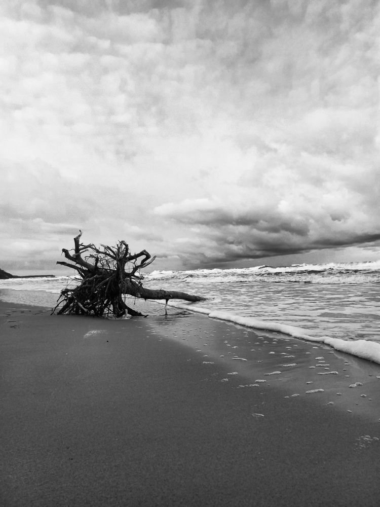 Фотография автора Екатерина Иванова