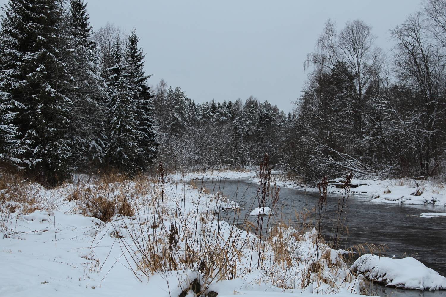 Photo #10108918