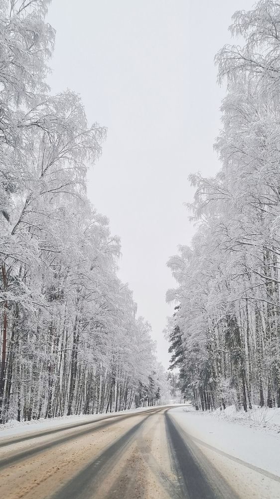 Photograph by Ирина Заворуева