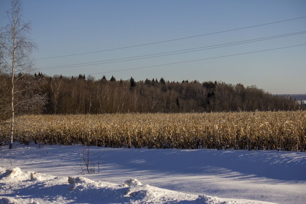 Photograph by Петр