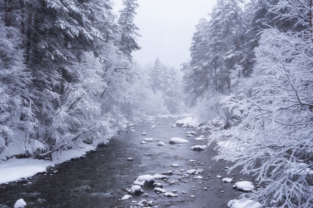 Фотография автора Чавыкина Анастасия
