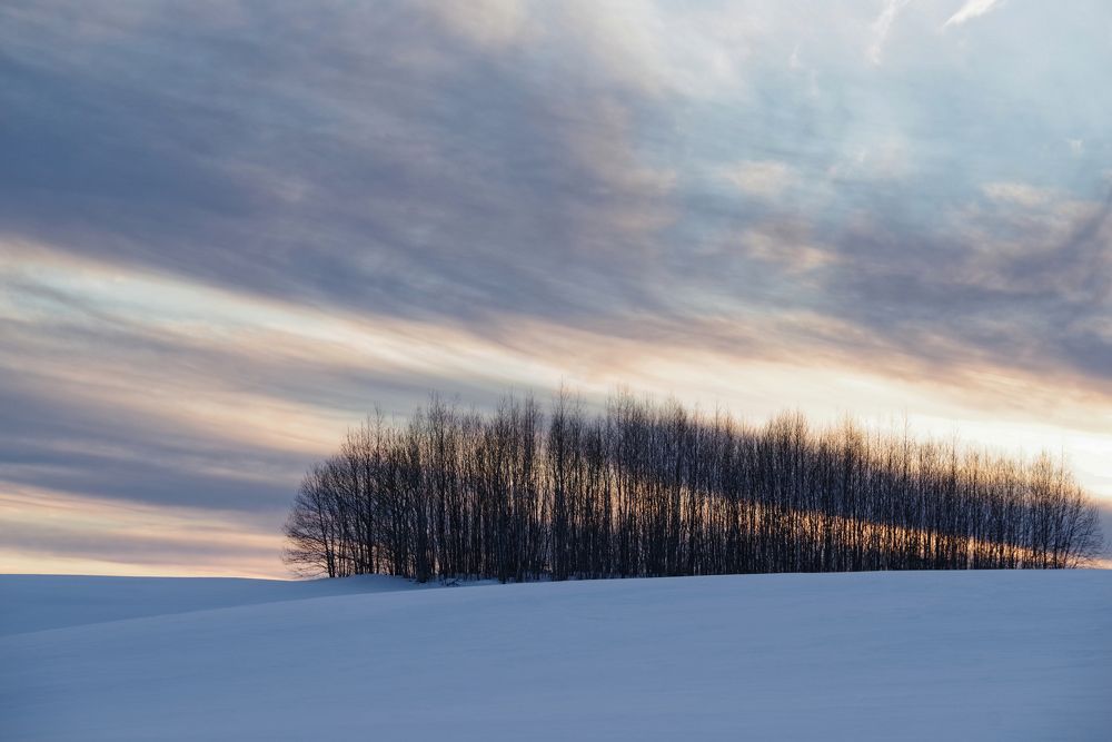 Photograph by Janek Kamja