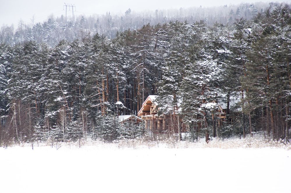 Photograph by Любовь Замятина